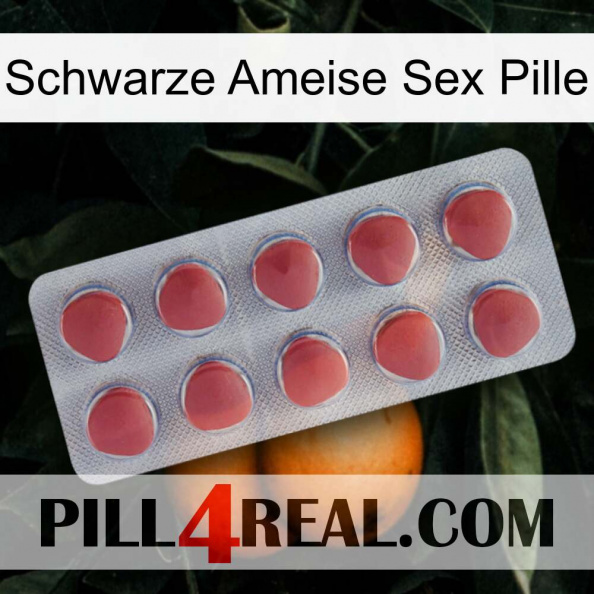 Black Ant Sex Pill 18.jpg